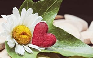 Gift, gratitude, marriage